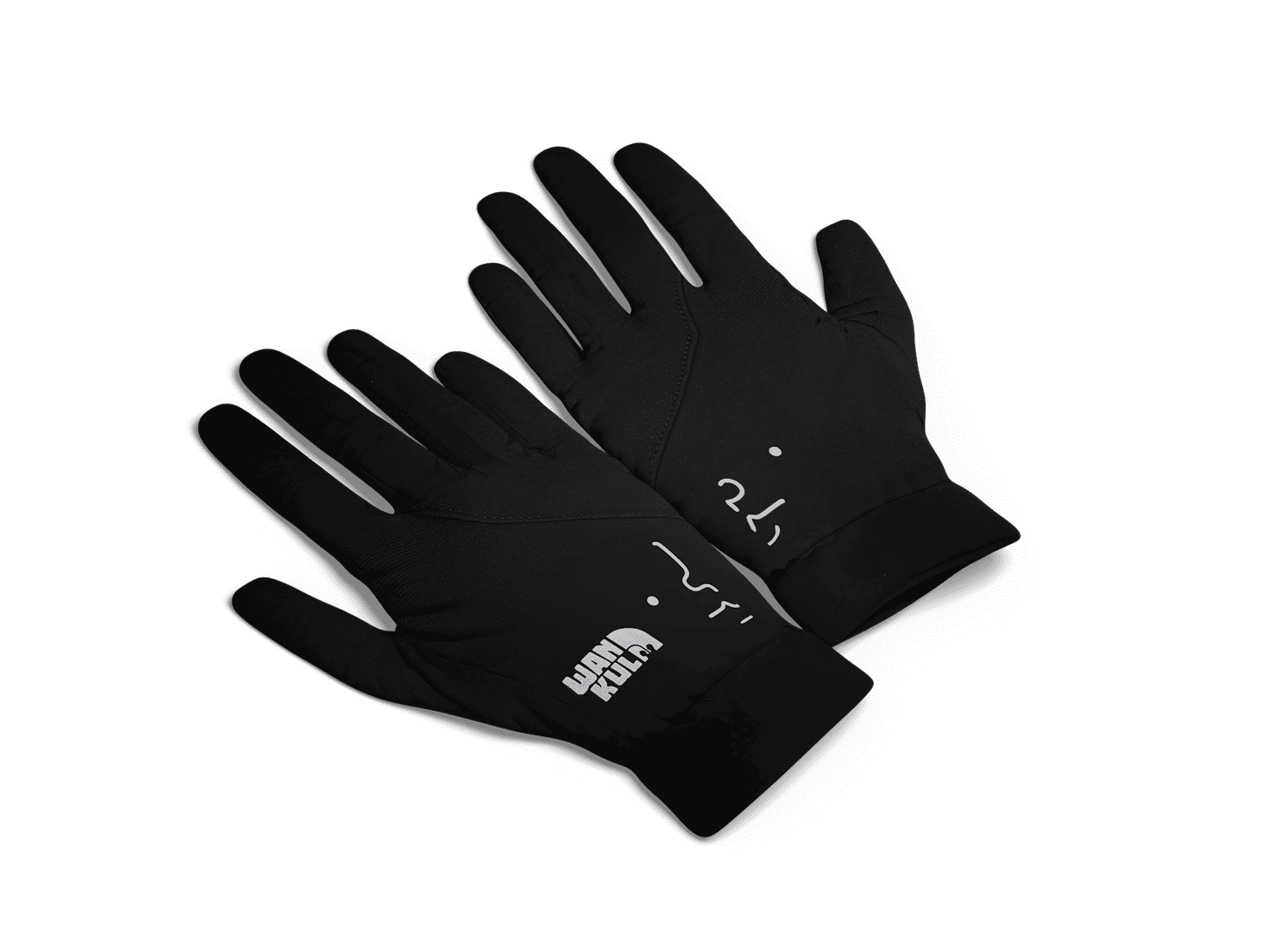 Echarpe ou Gants au choix